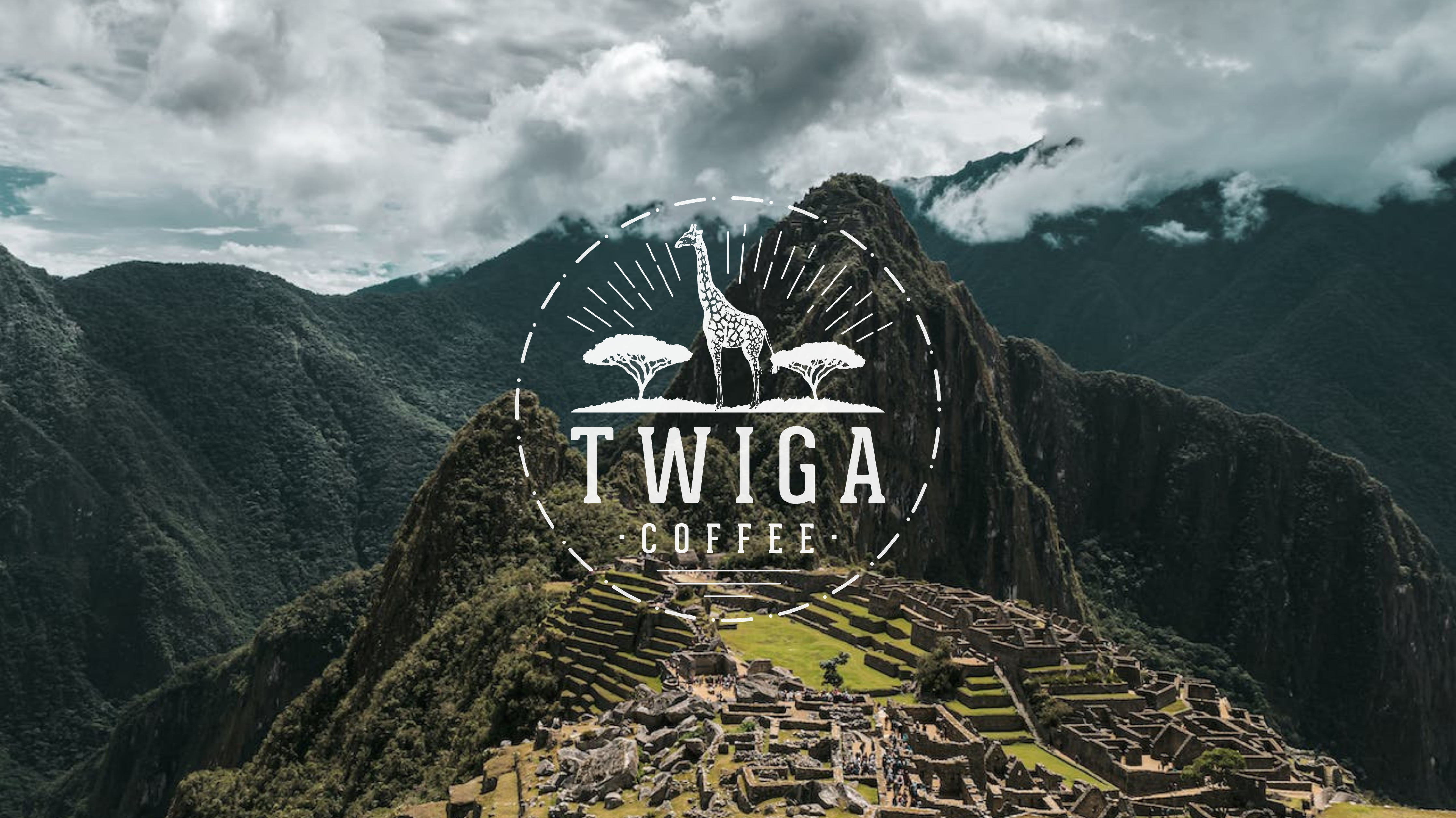Peruvian Coffee Unveiled: A Journey Through Flavor and Tradition