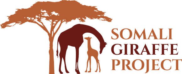Somali Giraffe Project