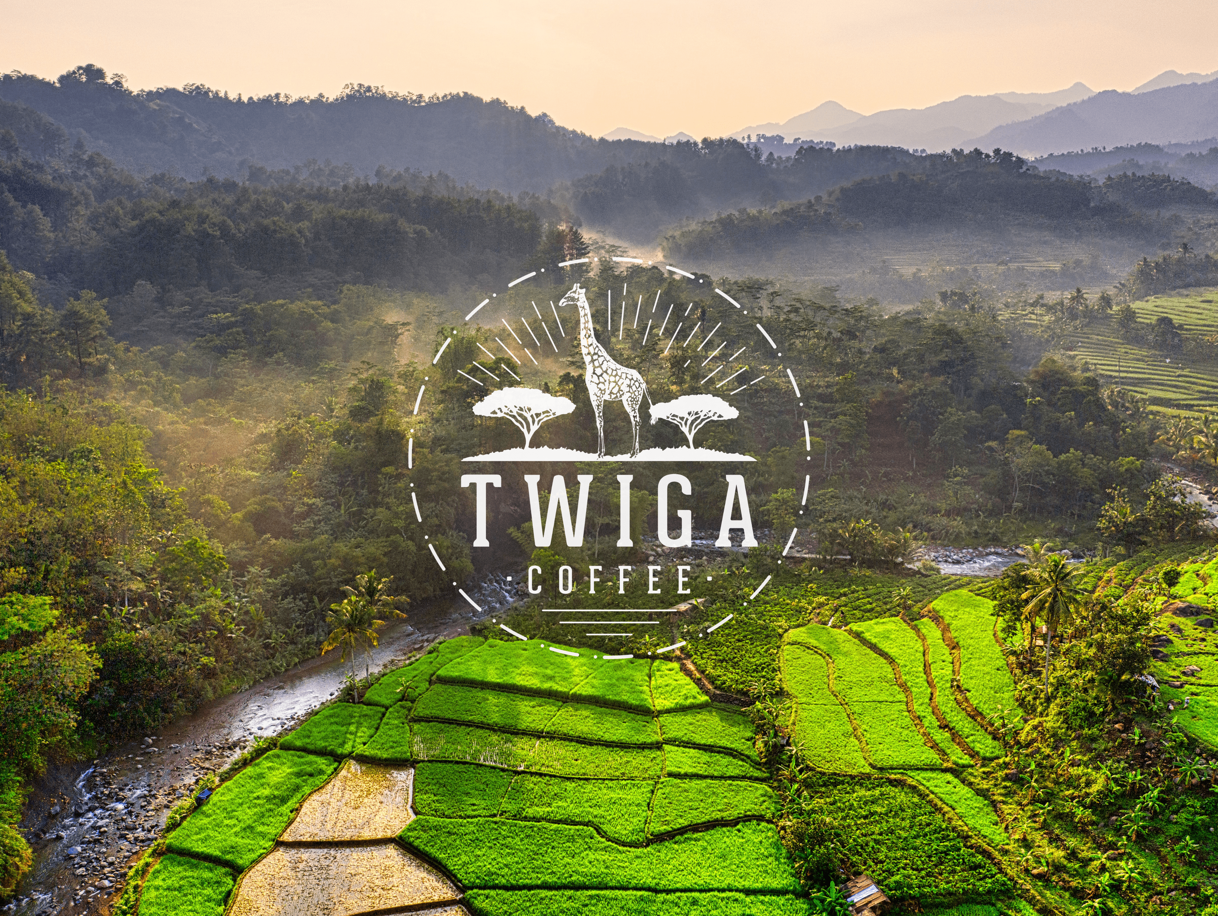Rwanda Coffee: A Taste of Excellence