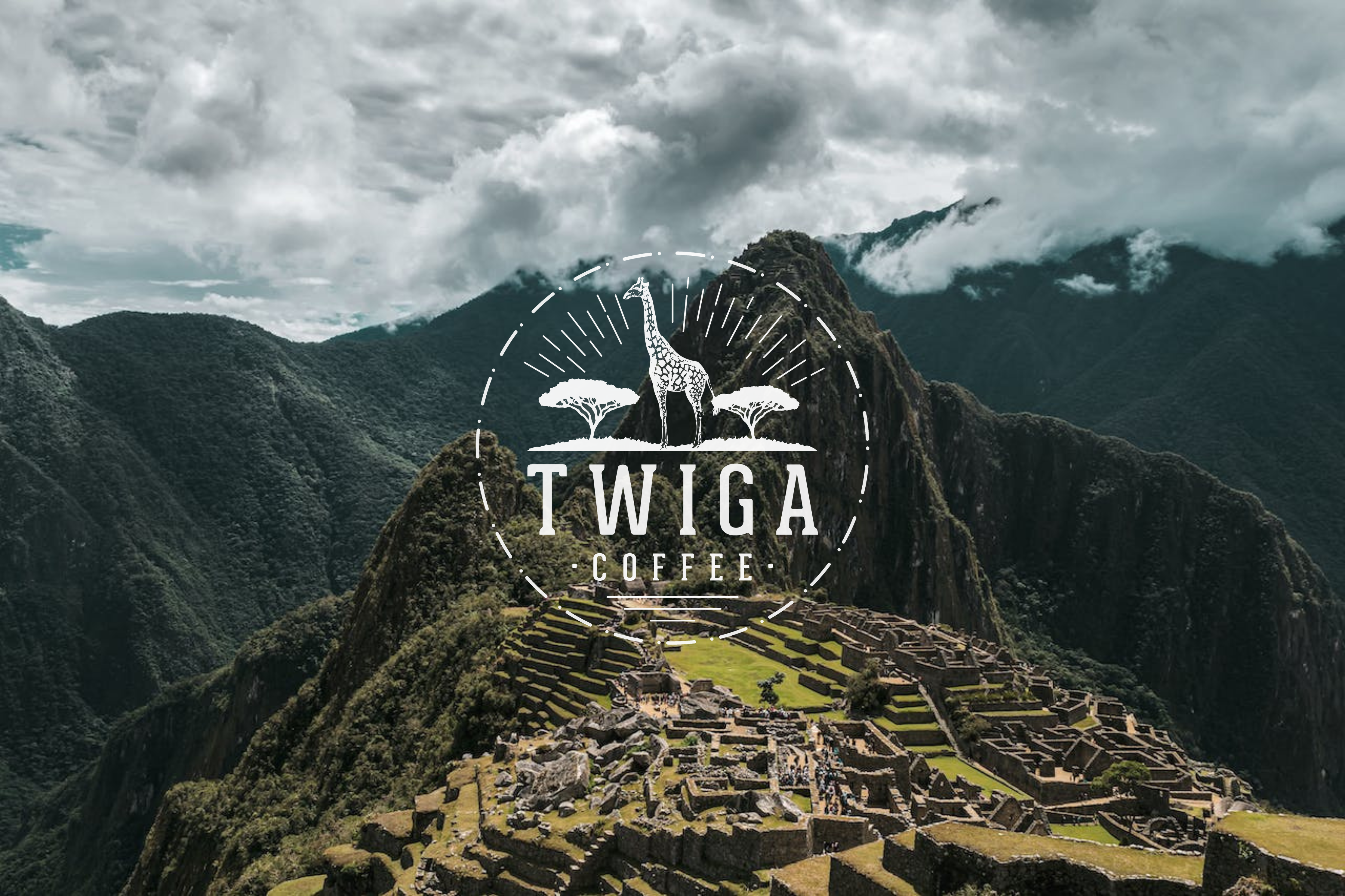 Peruvian Coffee Unveiled: A Journey Through Flavor and Tradition