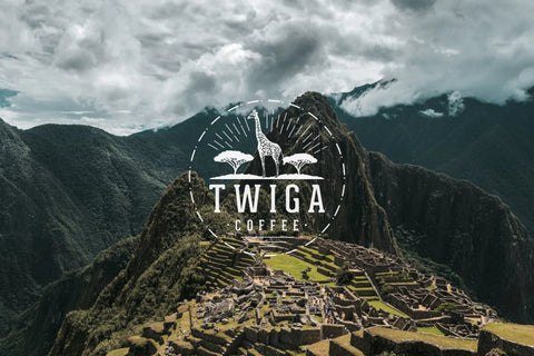 The Andean peaks and stone terraces of Machu Picchu in Peru under a cloudy sky.
