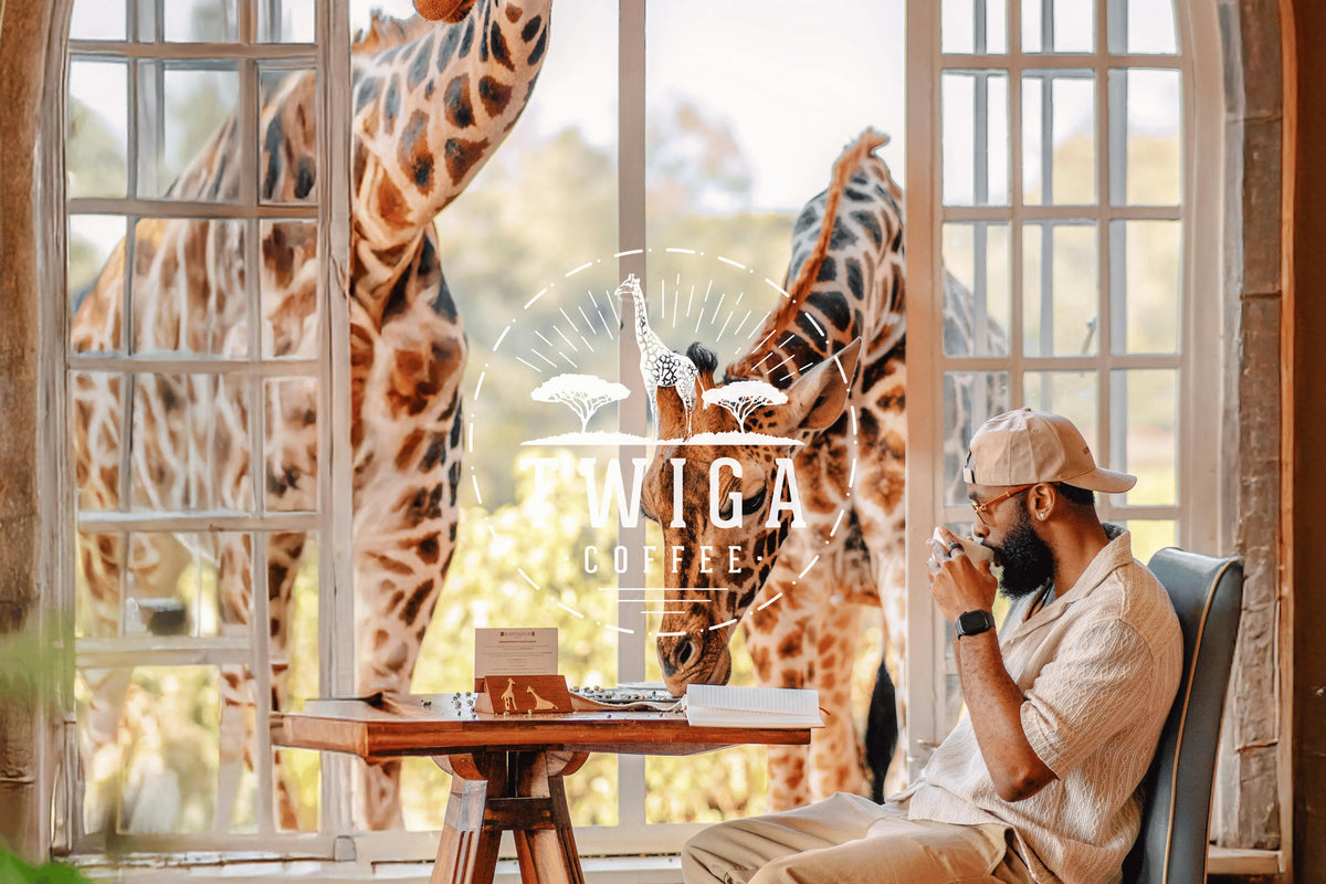 A man drinking coffee at a table by tall windows while two giraffes lean in from outside.