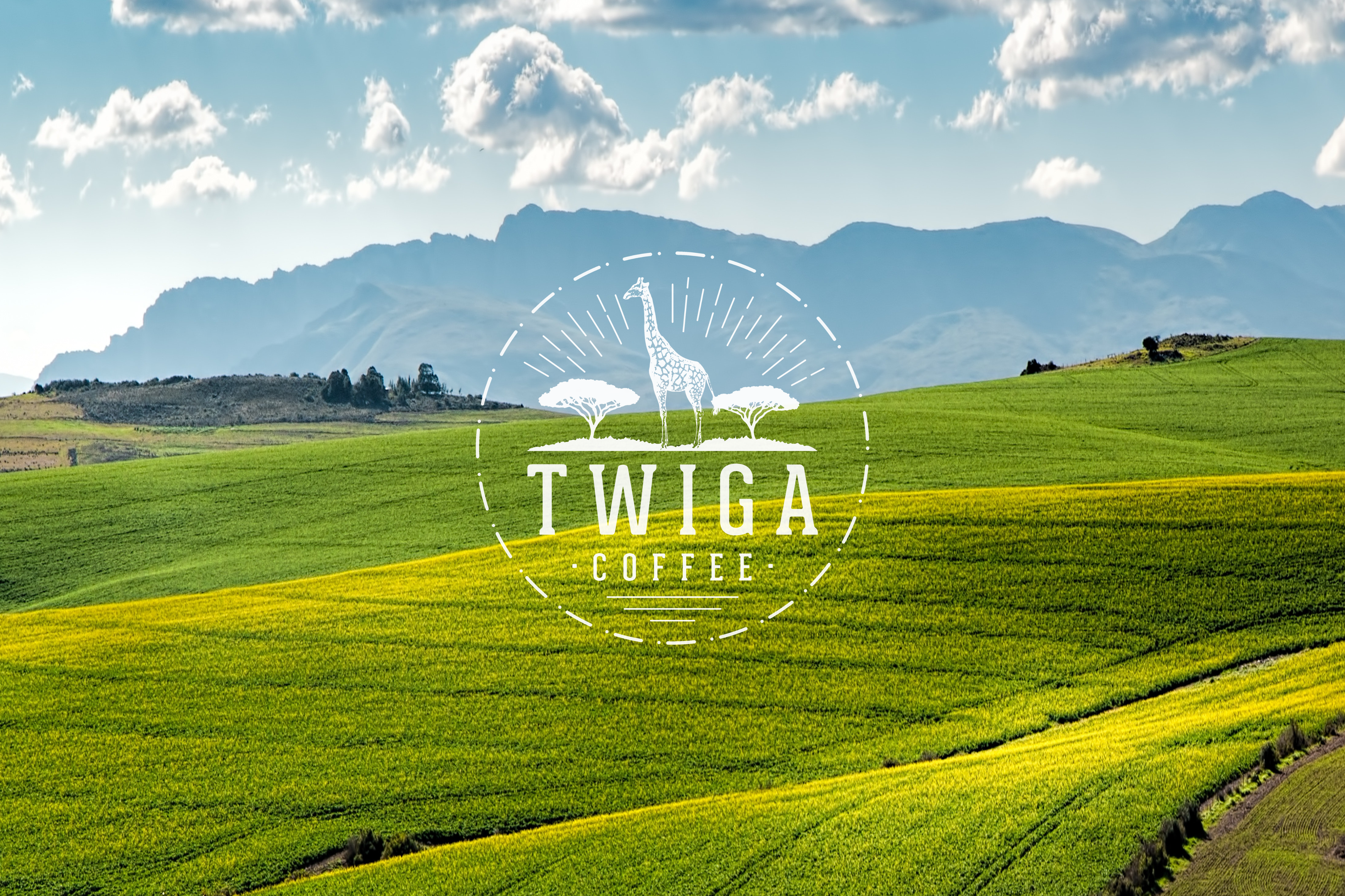 Ethiopia Sidamo Coffee: A Journey Through Flavor and Tradition