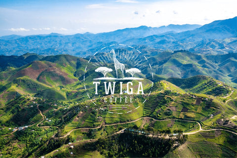 Aerial view of terraced coffee growing hillsides under a blue sky.