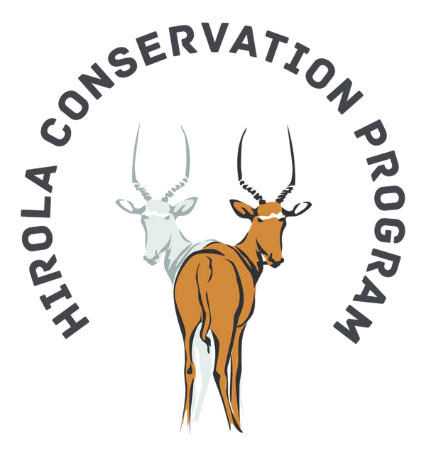 Hirola Conservation Program