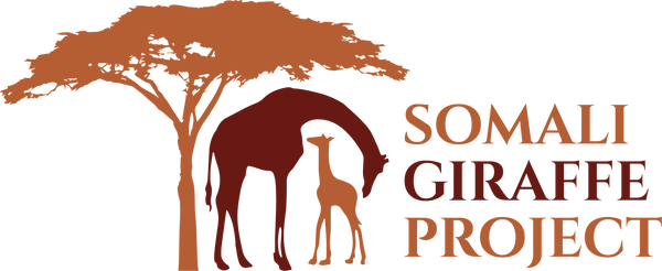 Somali Giraffe Project