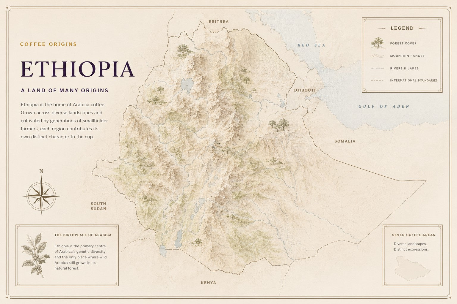 Illustrated relief map of Ethiopia showing highland terrain, forest cover, rivers and neighbouring countries